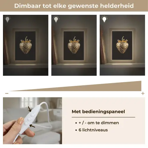 Aardbei - Goud - Zwart - Chrome Light Box met kabel (Tafellamp) klein -USP_dimbaarNL