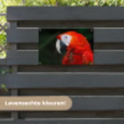 Dieren - Vogel - Papegaai tuinposter los doek klein -sfeer3