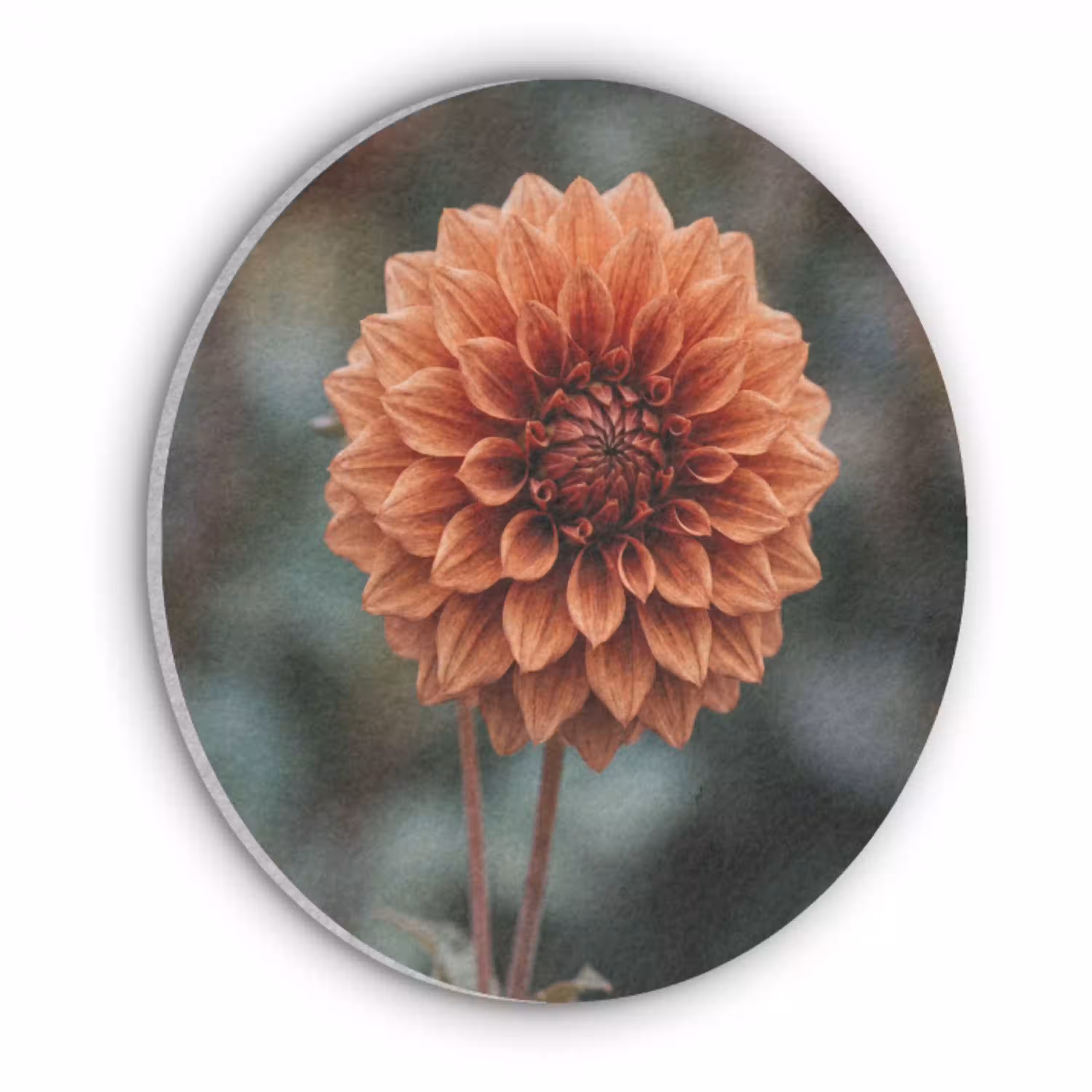 Dahlia - Bloem - Natuur - Sfeervol Akoestische PET Vilt - Rond klein -3d