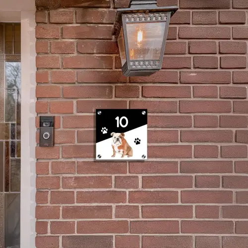 Zwart wit - Huisdier - Engelse bulldog Naambord Vierkant klein -sfeer7-XS