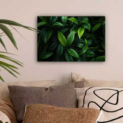 Bladeren - Regendruppels - Licht - Groen canvas 2cm klein -sfeer1