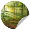 Zon - Bos - Bomen - Natuur - Herfst Wandcirkel behangsticker klein -3d