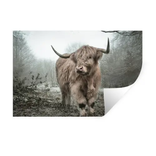 Schotse hooglander - Natuur - Herfst - Dieren - Wild - Bos Muursticker klein -3d