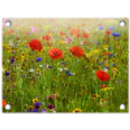 Weide van wilde bloemen en klaprozen tuinposter los doek klein -3d