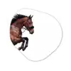 Paard - Springen - Modern Wandcirkel Organisch Forex 3mm klein -3d
