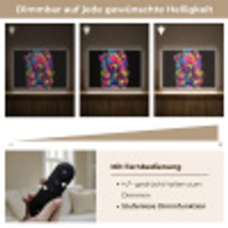 Beer - Verf - Kleurrijk - Knuffeldier Light Box met batterij (Wandlamp) middel -USP_dimbaarDE
