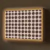 Stippen - Patroon - Bruin Light Box met batterij (Wandlamp) middel 907 -z3d_website