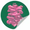 Abstract - Pink - Lijnen - Groen Wandcirkel behangsticker klein -3d