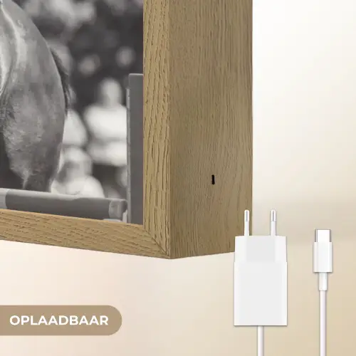 Springen - Paard - Zwart - Wit Light Box met batterij (Wandlamp) middel -USP_websiteoplaadbaarNL