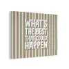 What's the best that could happen - Strepen - Groen - Roze PET vilt klein -3d