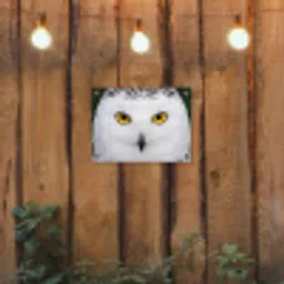 Sneeuwuil - Portret - Geel tuinposter los doek klein -sfeer1