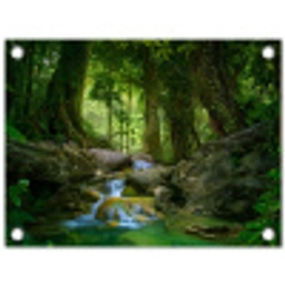 Waterval in het Regenwoud tuinposter los doek klein -3d