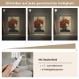 Vrouw - Appels - Rood - Bladeren Light Box met kabel (Tafellamp) klein -USP_dimbaarDE