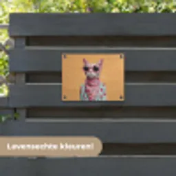 Zonnebril - Kat - Sjaal - Bloemen tuinposter los doek klein -sfeer3