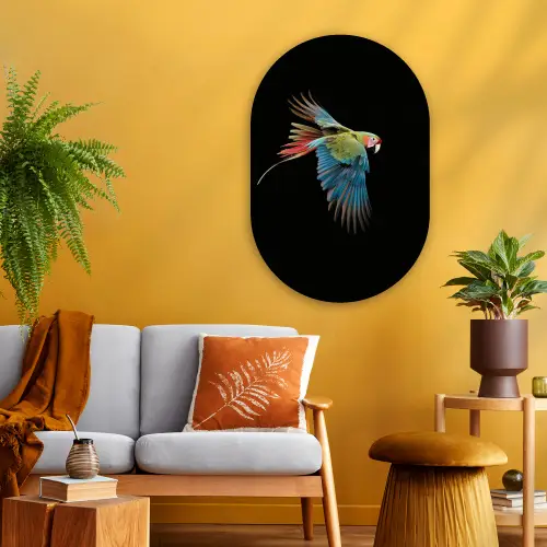 Papegaai - Kleurrijk - Vleugels - Sierlijk Wandcirkel Ovaal Glas middel -sfeer4