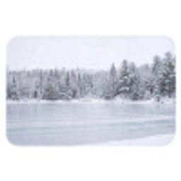 Meer - Dennen - IJs - Winter - Rustgevend Badmat klein -3d