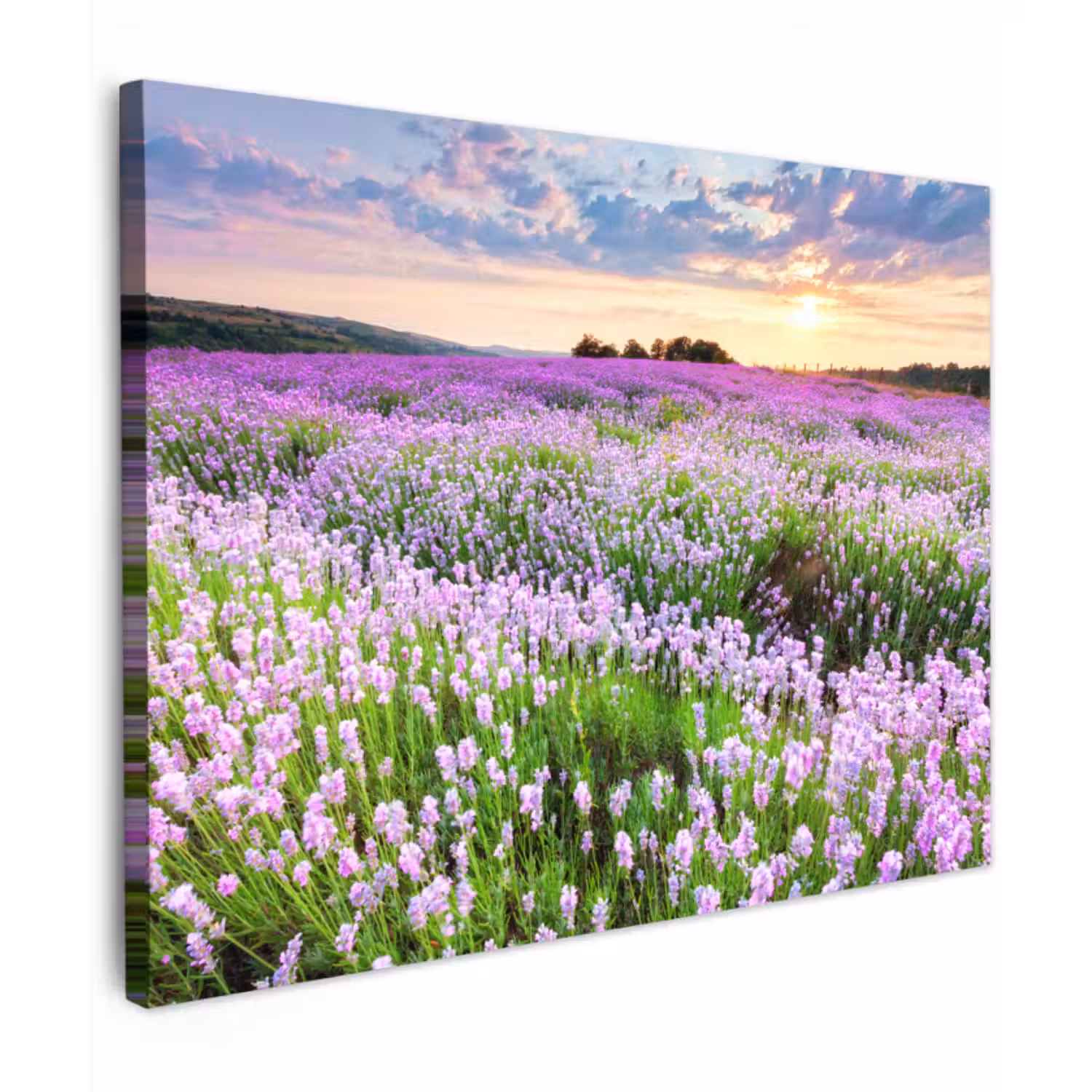 Canvas schilderij - Bloemen - Lavendel - Paars - Lucht - Zonsondergang - Weide - Natuur