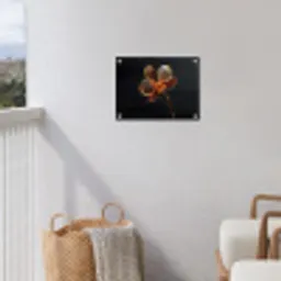 Orchidee - Doorzichtig - Bloem tuinposter los doek klein -sfeer8
