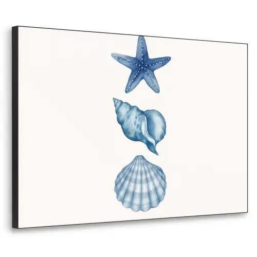 Zeester - Schelpen - Blauw Textielframe zwart klein -3d
