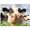 Koe - Boerderij - Gras - Dieren tuinposter los doek klein -3d