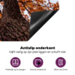 Boom - Bladerdak - Herfst - Oranje - Sfeervol Inductie beschermer vinyl 3mm klein -zzzzzzz-cc-onderkant