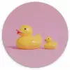 Eendjes - Vrolijk - Roze Wandcirkel kunststof plaat 5mm dik klein -3d