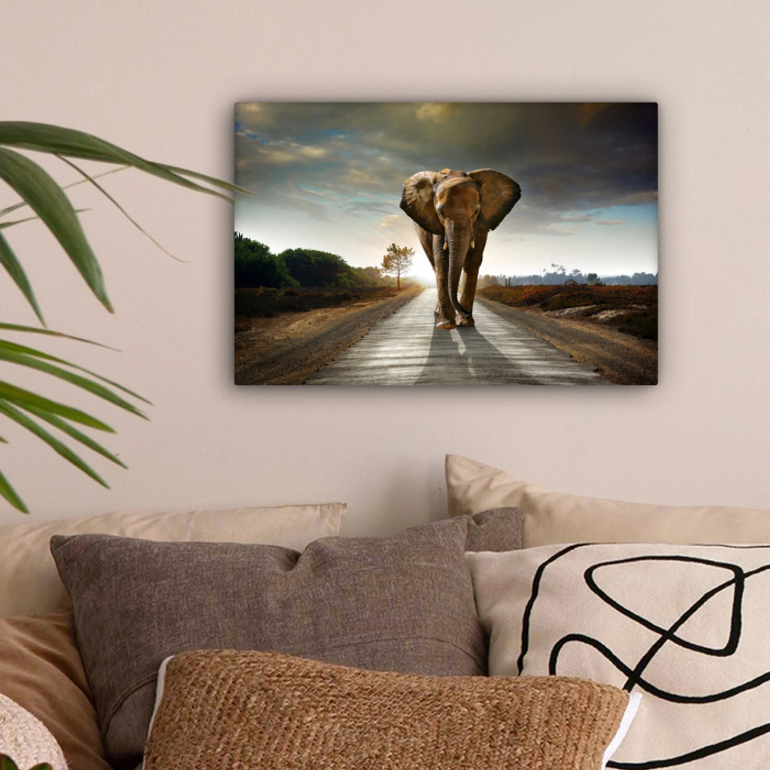 Olifant - Weg - Dieren - Zonsondergang - Landschap canvas 2cm klein -sfeer1
