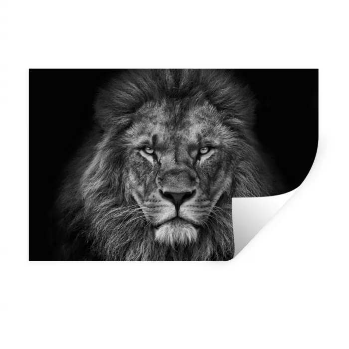 Leeuw - Dieren - Zwart - Wit Muursticker klein -3d