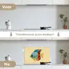 Vis - Vinnen - Blauw - Ogen keuken achterwand spatscherm klein -voor_na_NL