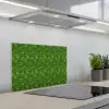 Groen - Vogels - Vleugels keuken achterwand spatscherm klein 900 -3d_schuin