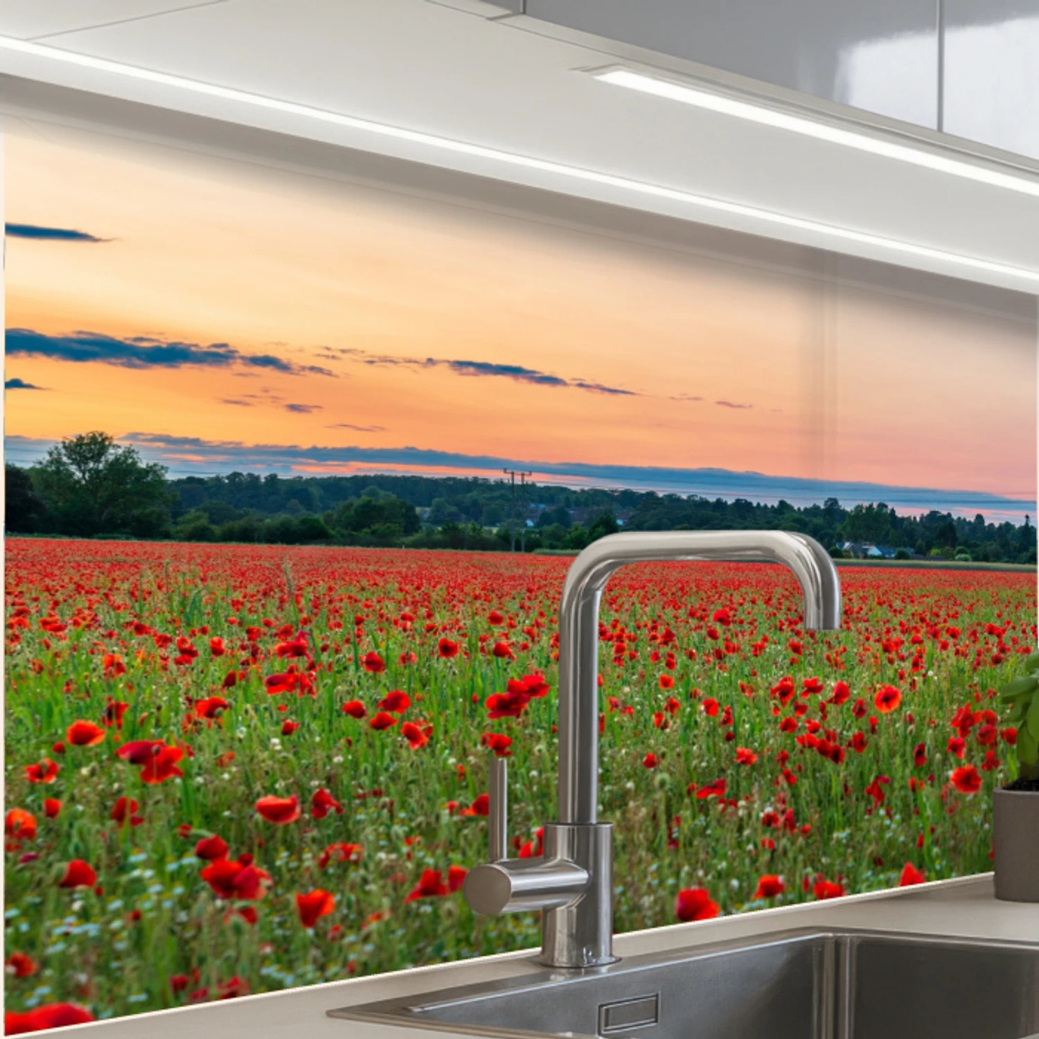 Klaprozen - Landschap - Rood - Bloemen keuken achterwand 2 middel -zzzz3d_schuin