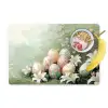Paaseieren - Pasteltinten - Bloemen Placemat vinyl groot -zzzproduct_Kitchenyeah-website
