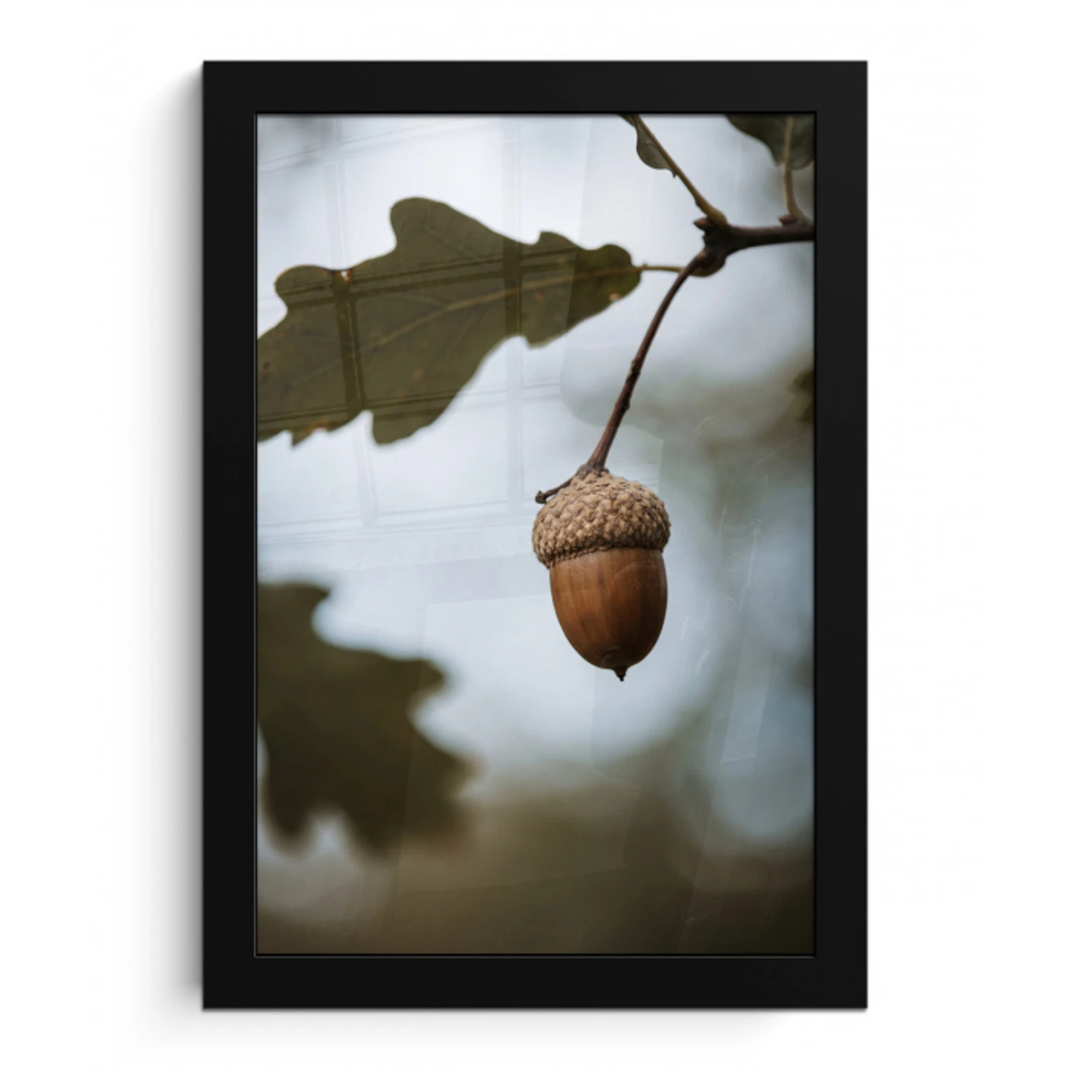 Eikel - Eikenblad - Bos - Herfst - Natuur fotolijst zwart zonder passe partout klein -3d