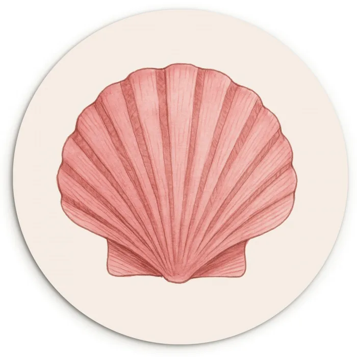 Schelp - Roze - Ribbels Wandcirkel kunststof plaat 5mm dik klein -3d