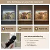 Schotse hooglander - Dieren portret - Natuur - Dier Light Box met batterij (Wandlamp) middel -USP_lichtkleurNL
