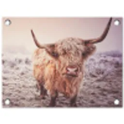 Schotse hooglanders - Licht - Lucht - Natuur tuinposter los doek klein -3d