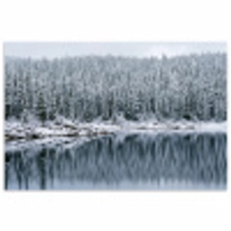 Bos - Reflectie - Meer - Winter - Serene poster papier klein -3d