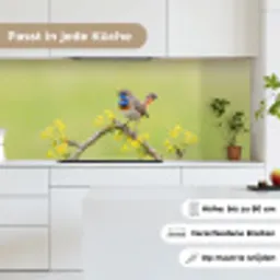 Vogel - Tak - Natuur - Kleurrijk keuken achterwand 2 middel -sfeer4_DE