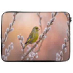 Groenling - Katjes - Lente - Natuur - Zacht laptophoes neopreen klein -zkaufland3dotto