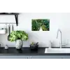 Jungle - Palmboom - Brug - Natuur - Planten Muursticker klein -keuken