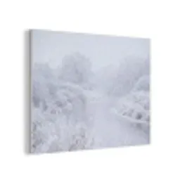 Rivier - Sneeuw - Bos - Winter - Schilderachtig PET vilt klein -3d