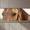 Paard - Oog - Bruin keuken achterwand 2 middel zz_3dshopping