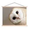 Uil - Bruin - Wit textielposter latten blank klein -3d