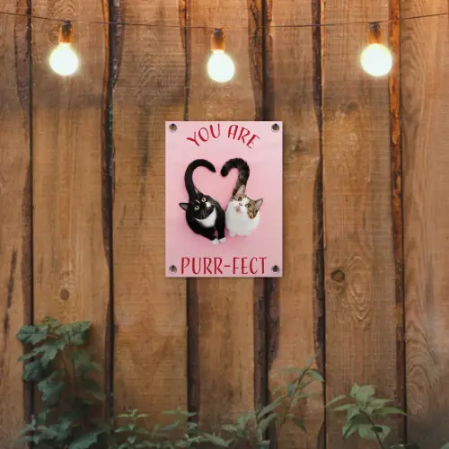 Kat - Hart - Tekst - Valentijn tuinposter los doek klein -sfeer1