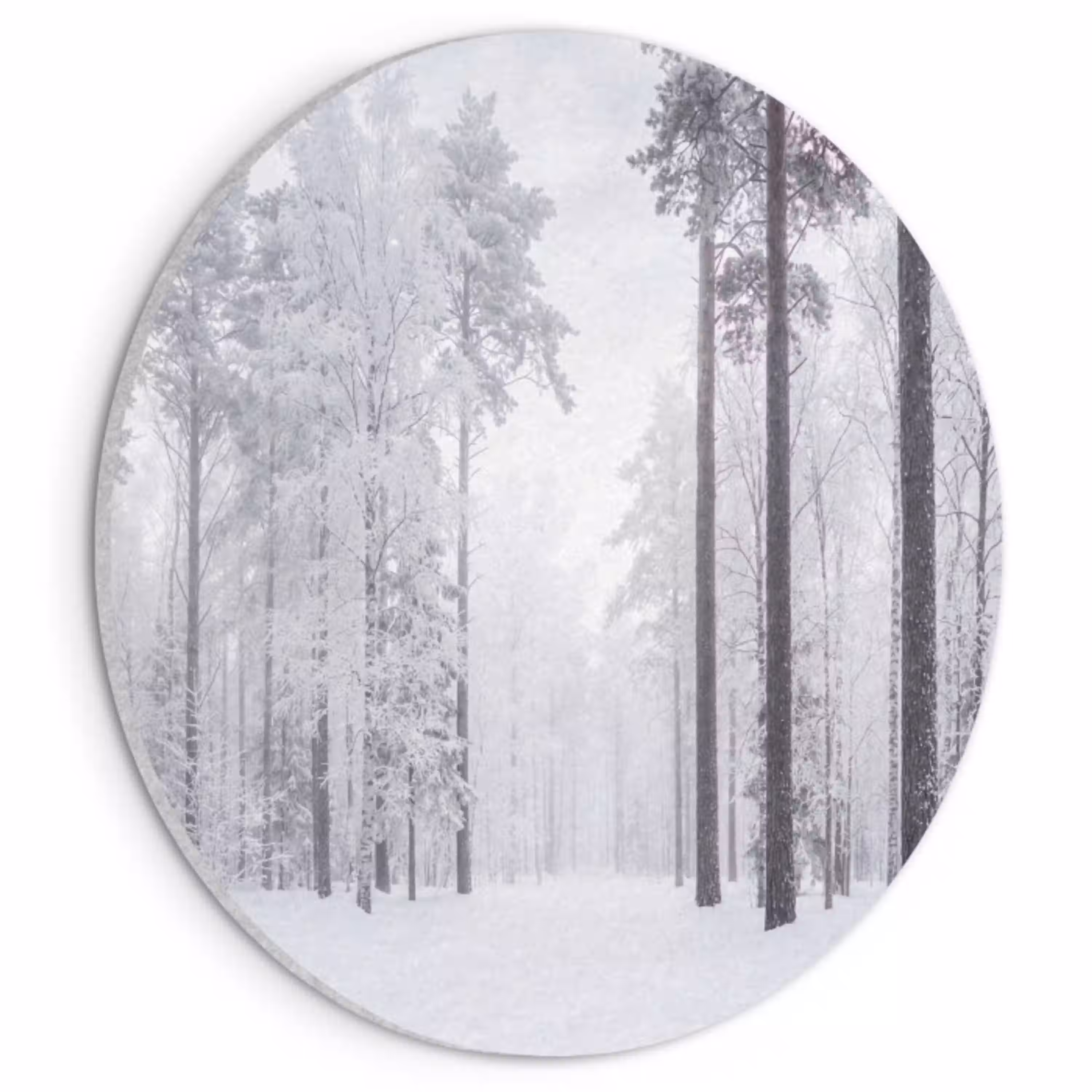 Bos - Sneeuw - Pad - Winter - Stilte Akoestische PET Vilt - Rond klein -3d