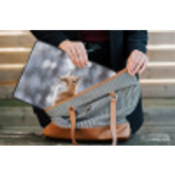 Vos - Sneeuwval - Portret - Winter - Sfeervol laptophoes neopreen klein -tas