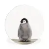 Kinderen - Pinguïn - Grijs - Dieren - Meisjes - Jongens Wandcirkel kunststof plaat 5mm dik klein -3d