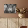 Schotse hooglander - Koe - Zwart - Wit - Dieren PET vilt klein -sfeer4