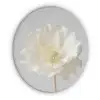 Bloem - Minimalistisch -Wit Akoestische PET Vilt - Rond klein -3d