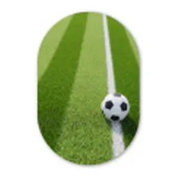 Voetbal - Grasveld - Sport - Groen Wandcirkel Ovaal Forex klein -3d